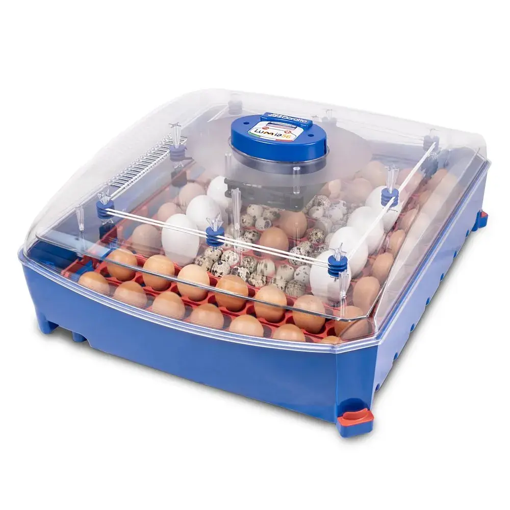 Broedmachine LUMIA 56 automatisch