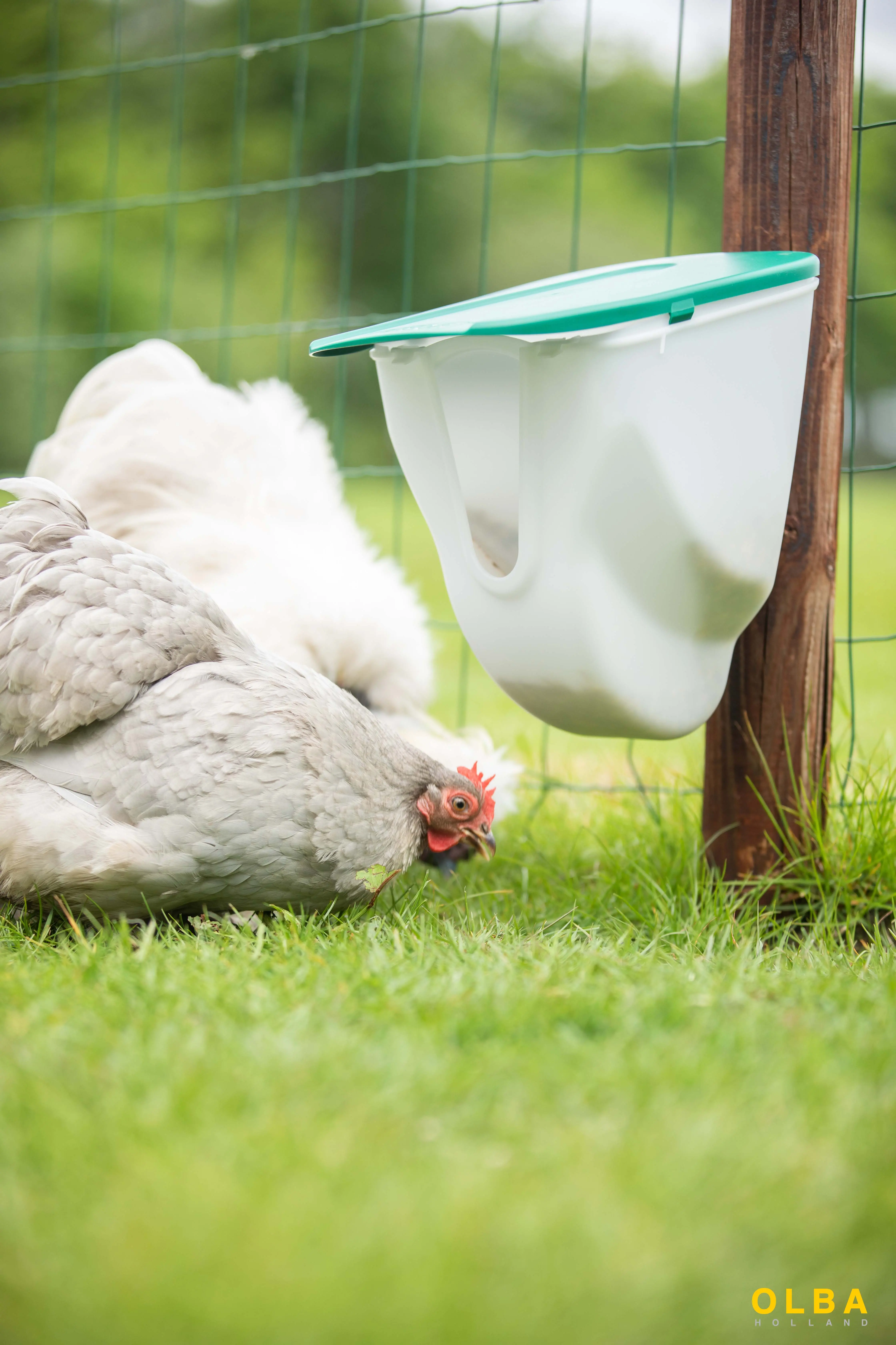 V-Feedr No Waste Feeder 2.5kg