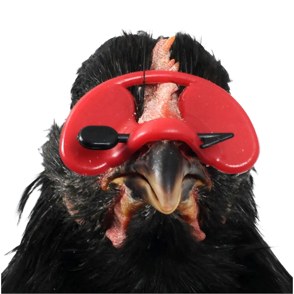 Pluimveebril groot bulk verpakking