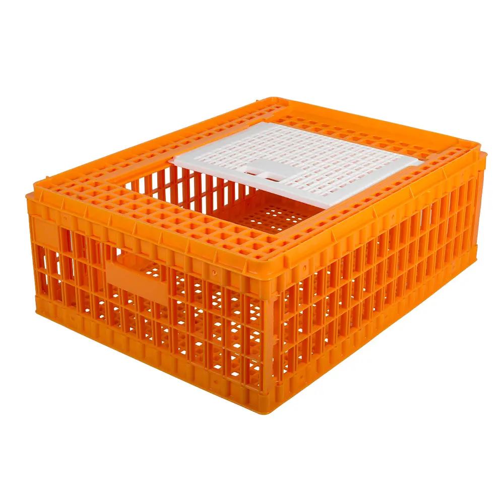 Transportkist pluimvee oranje 1 top deur