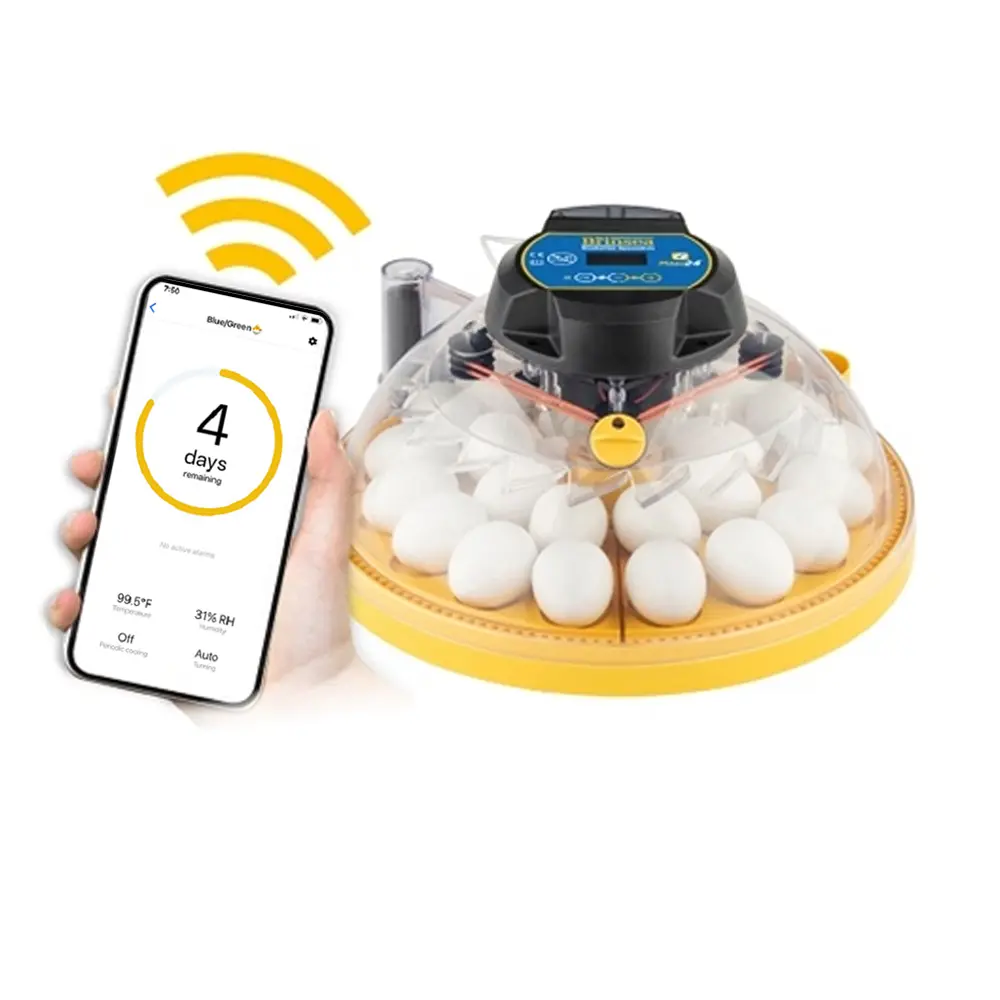 Brinsea Maxi 24 ADVANCE EX CONNECT