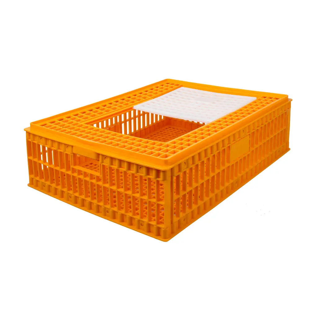 Transportkist voor duiven/kwartels HDPE oranje